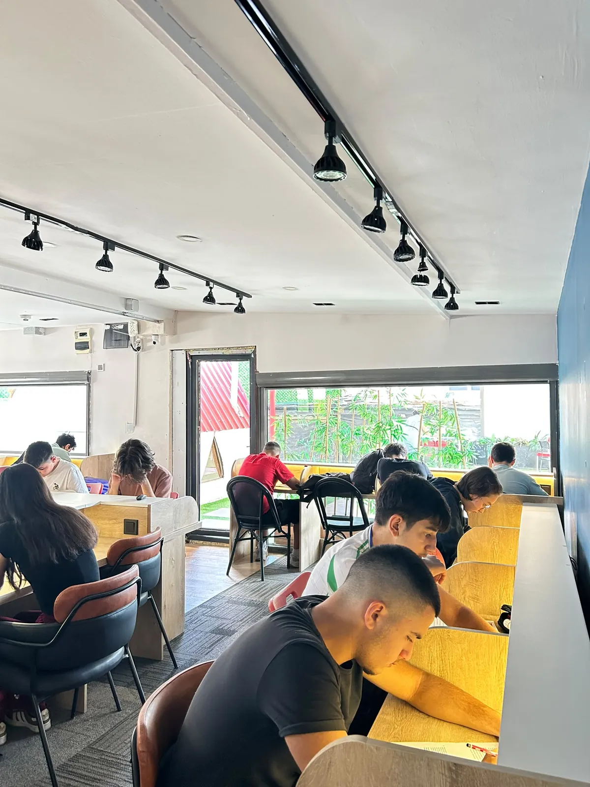 Pencere kenarındaki ışıklı bireysel masalarda çalışan öğrenciler